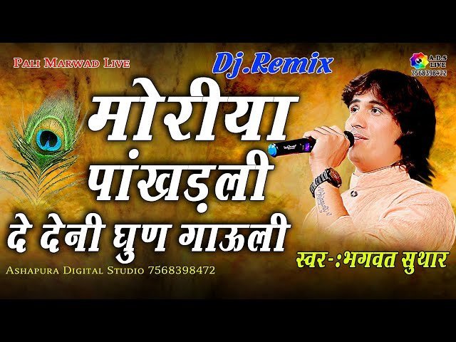 🎵 मोरिया पाखड़ली दे दे वा थारा नाम री — भजन लिरिक्स